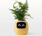 GrowJoy.