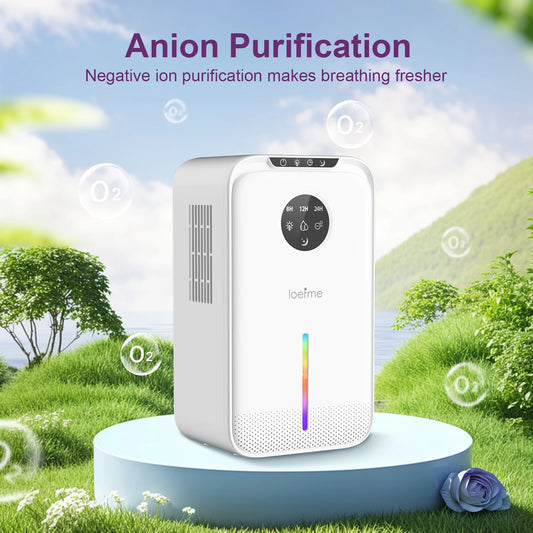 2.5L Large Dehumidifier.