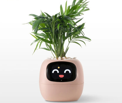 GrowJoy.